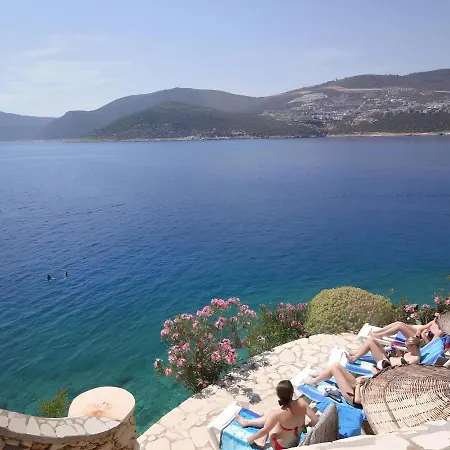 Patara & - Special Category